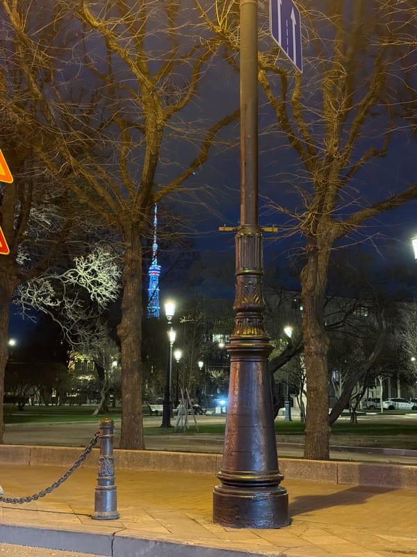 Peaceful nighttime scene captured in Saint Petersburg park