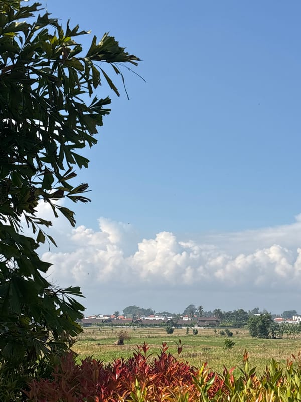 Quiet moments captured in Cemagi: cat, countryside, pool
