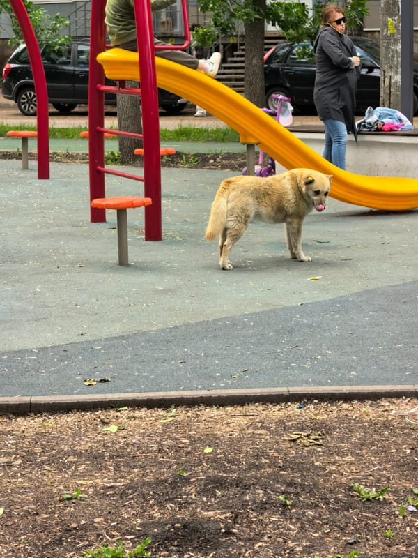 Morning playground activities documented in Sterlitamak park