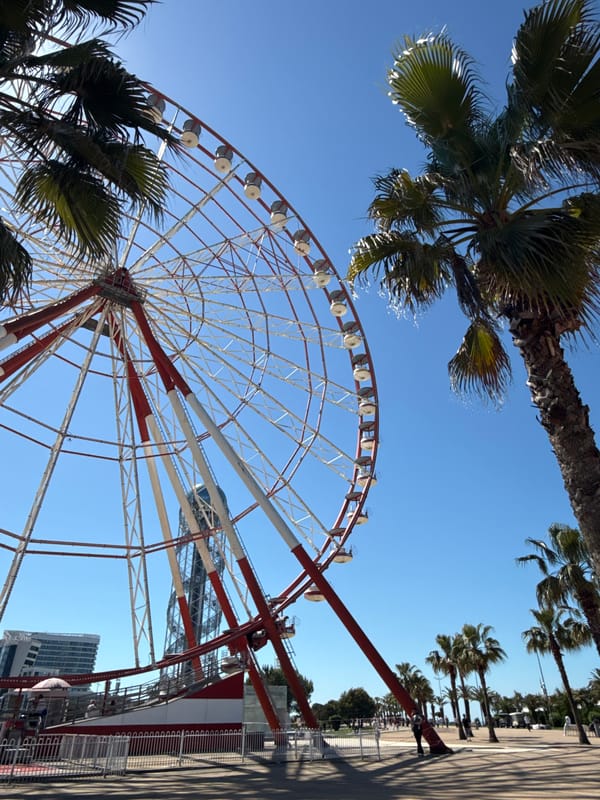 Tourist captures sunny day at Batumi waterfront amusement area