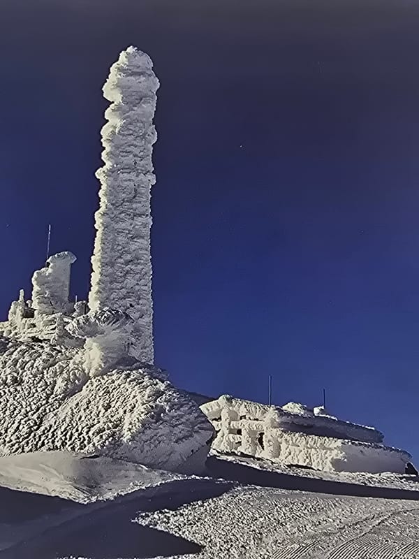 Sofia witness documents diverse scenes: icy mountains, Angkor Wat, office