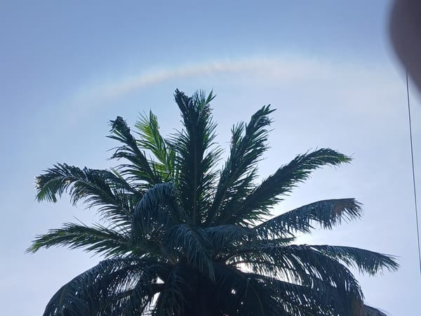 Circular rainbow halo spotted over Tinaco, Venezuela