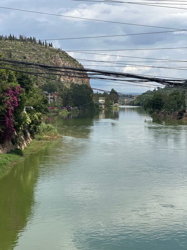 Purple bougainvillea blooms along city river in Xishan District