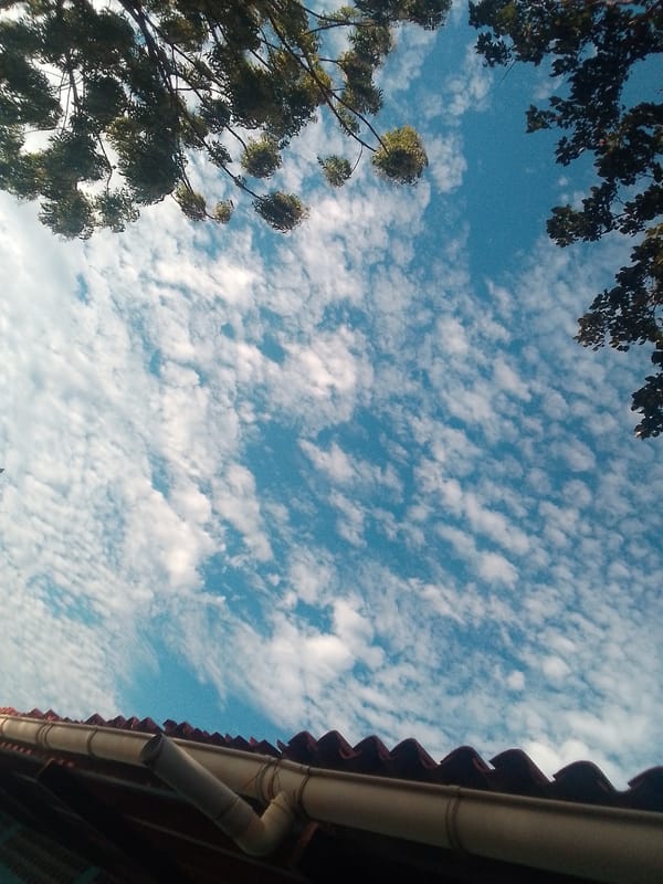 Sky and street scenes documented in unknown location