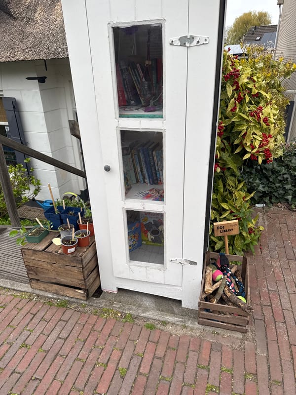 Community library cabinet spotted on Dutch street in Sliedrecht