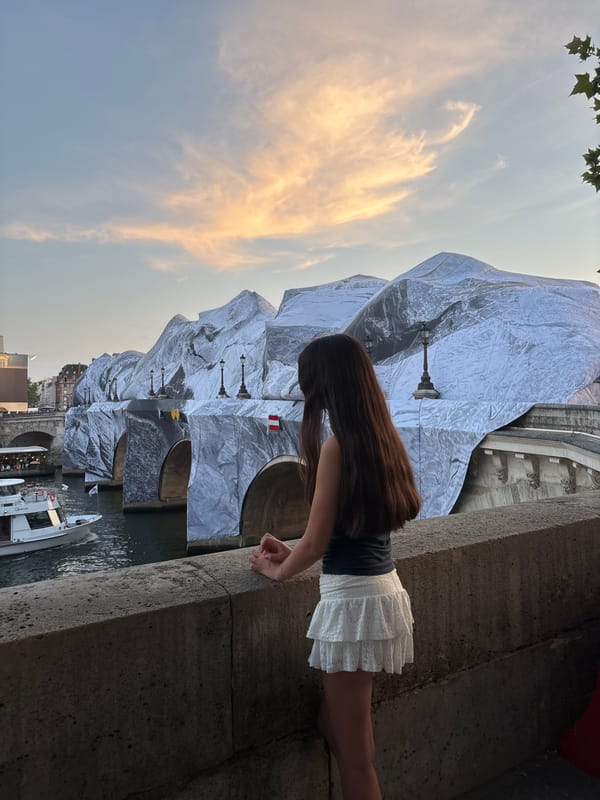 Seine-side Paris landmarks at golden hour, with a Pont Neuf installation