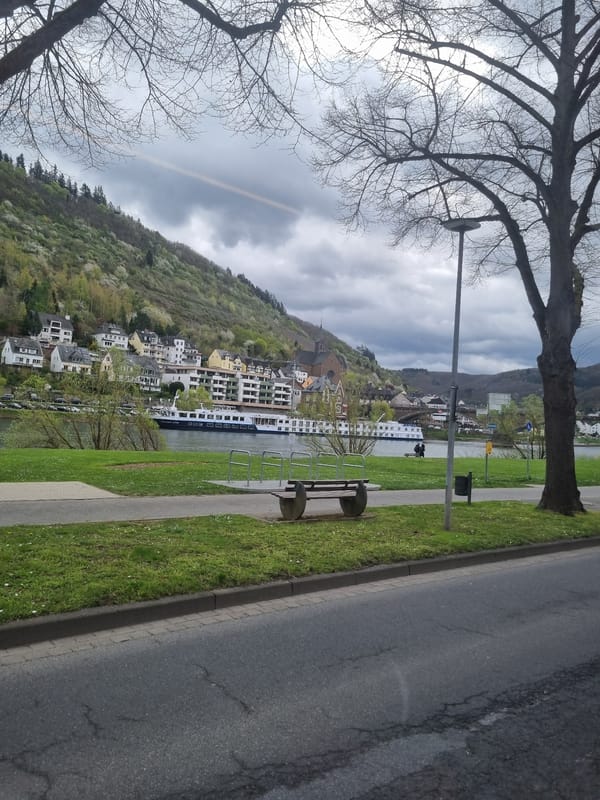 Morning scenes documented across Cochem's riverfront and transit systems