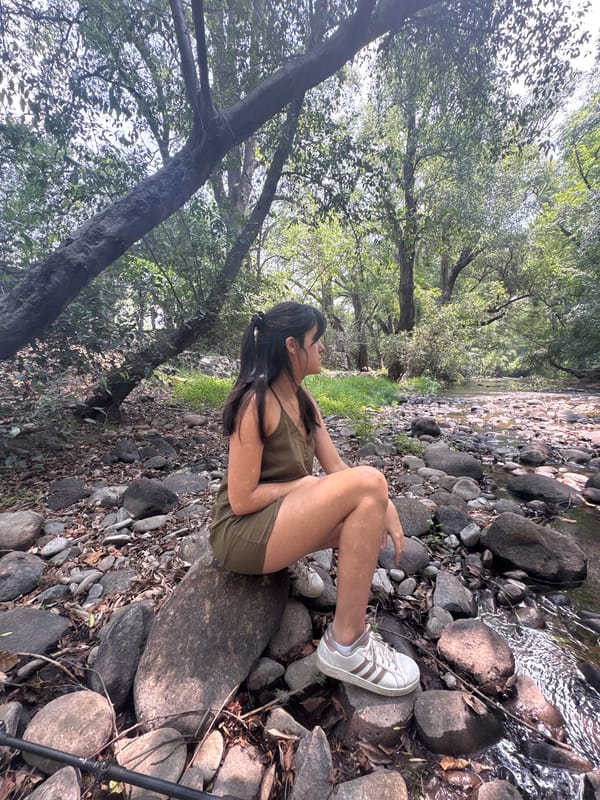 People relax by rocky stream in Cañada de Madero woods