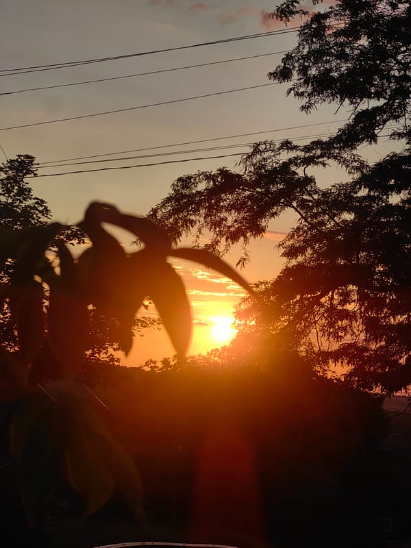 Man checks phone on rural Ukraine road during sunset