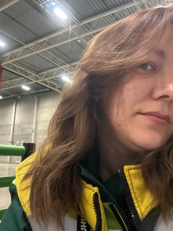 Mixed indoor activities and aircraft sighting in Lupanovo