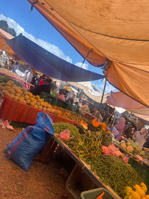 Daily life documented in Ouaouizert market, Morocco