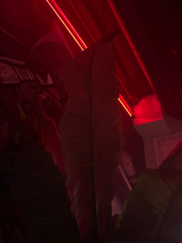 Inside a red-lit venue full of neon and decorative lighting