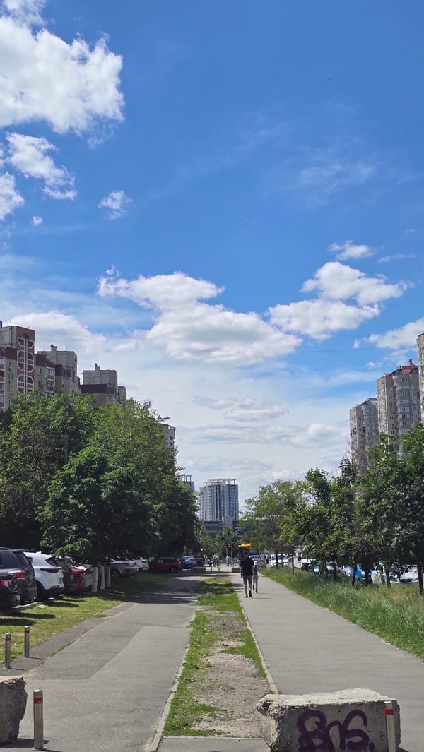 Urban scene memories: dark Lexus, greenery, buildings, blue skies