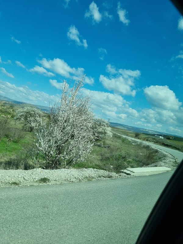 Vehicle travels through rural Bulgarian countryside near Slivnitsa