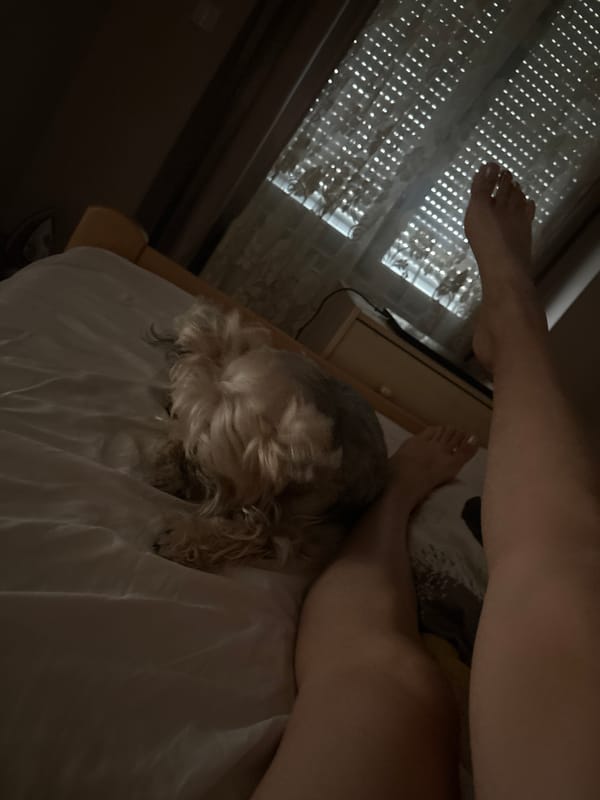 Morning apartment routine in Budva — bathroom and kitchen