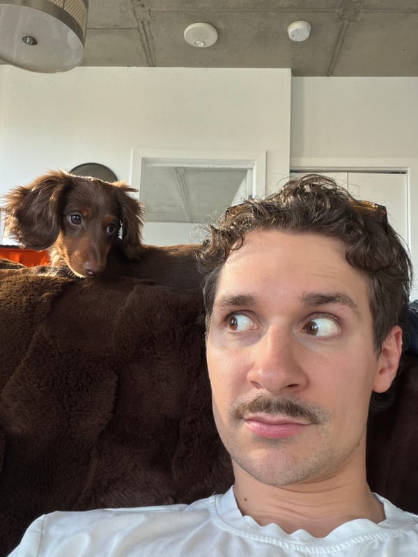 Man plays with dachshund puppy in Montreal home