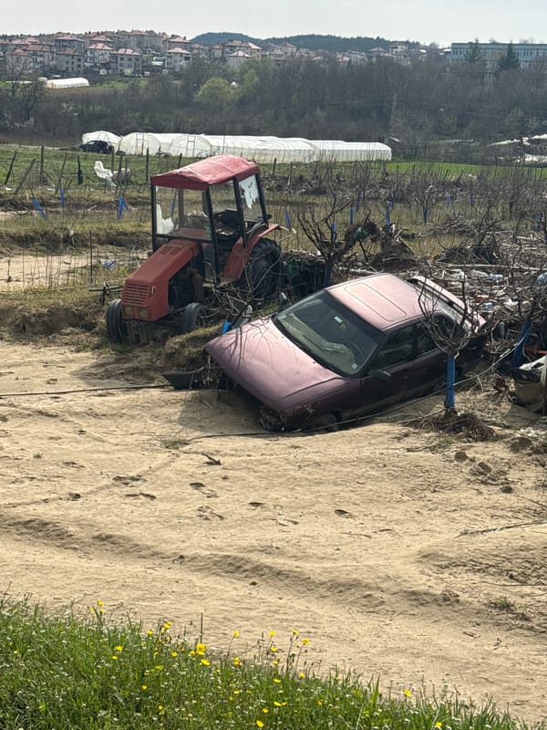 Vehicles trapped by fallen trees near Krumovgrad, Bulgaria