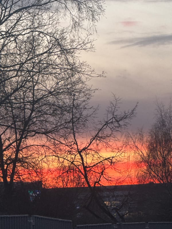 Moscow residents witness colorful sunset across city