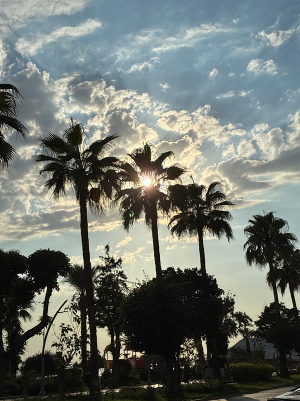 Palm-lined Alanya streets in warm afternoon light
