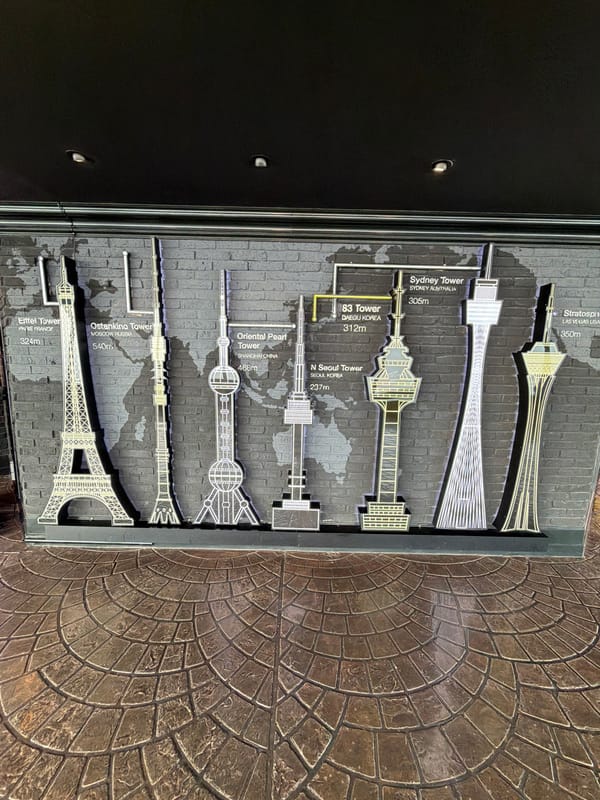 Tourist explores E-World Tower exhibits and cherry blossoms in Daegu