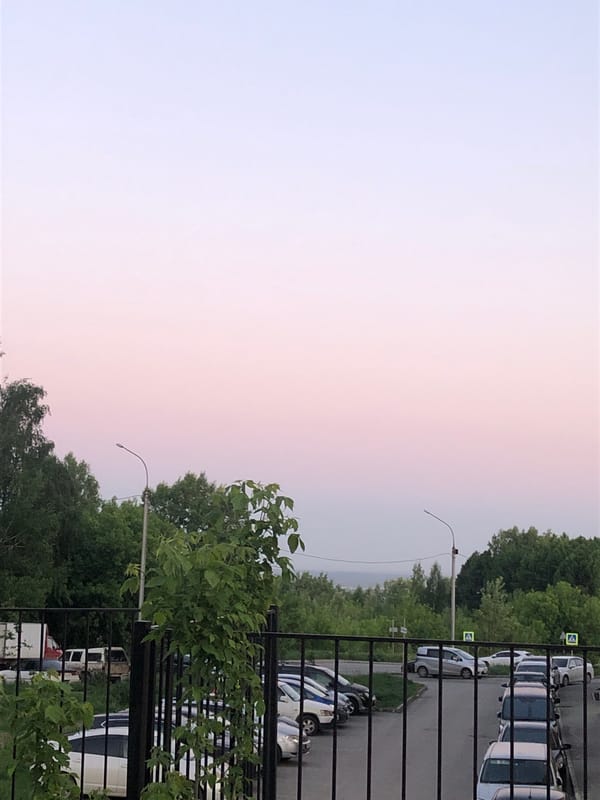 Spring flowers and twilight scenes documented across 13 minutes