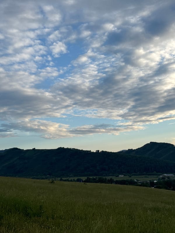 Summer afternoon in Soloneshnoye, Altai village and countryside