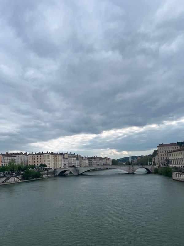 Pedestrian bridge view captured in Lyon, France