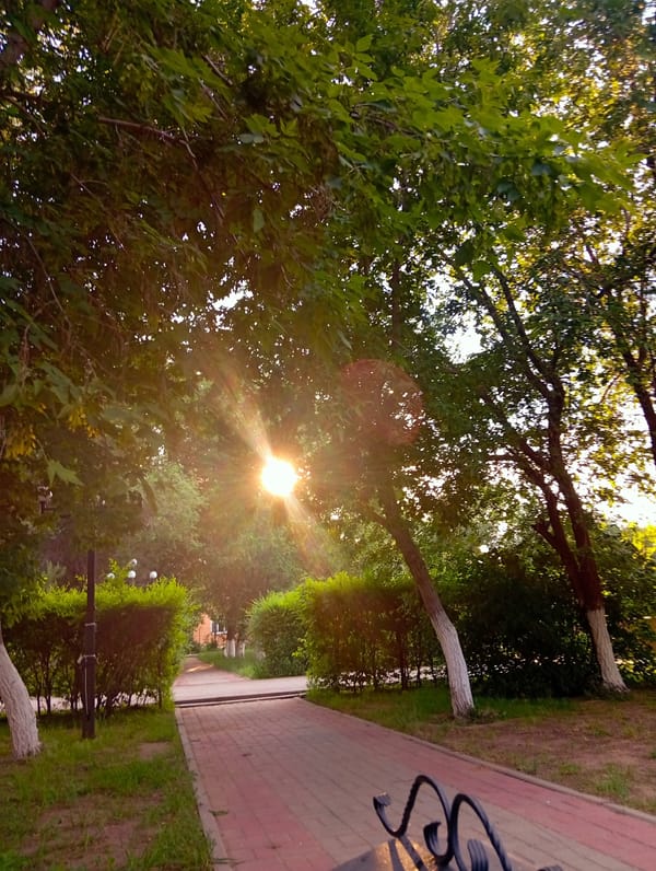 Golden hour light across a quiet park in Qobda, Kazakhstan
