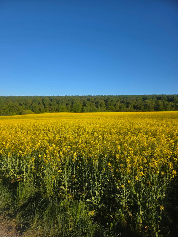 Clear skies photographed over rural Görgeshausen, Germany