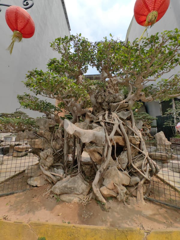 Early morning life captured in Hong Gai Ward, Vietnam