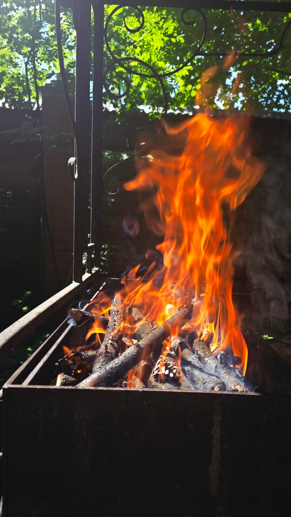 Wood-burning barbecue grill blazing in Il'inskiy backyard