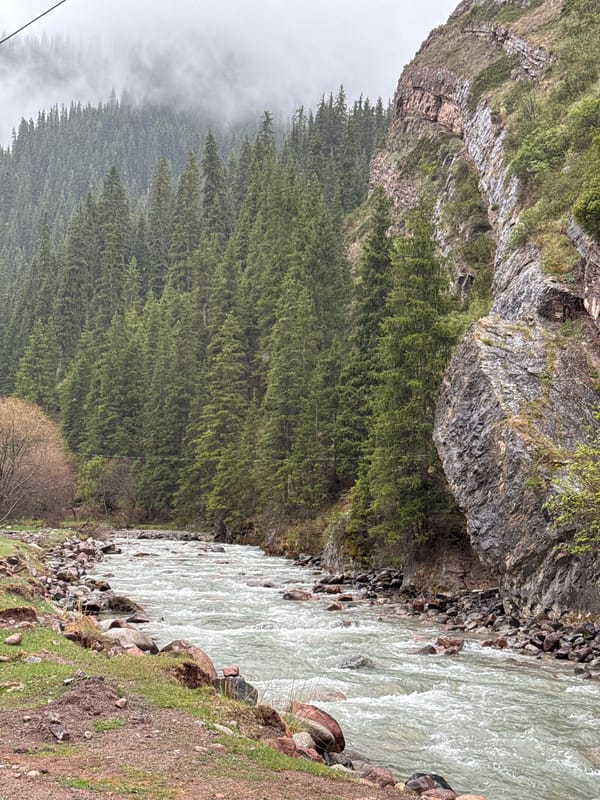 Herder drives livestock through mountain valleys in Kyrgyzstan