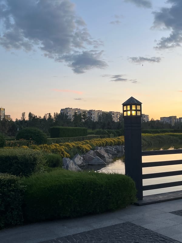 Orange daylilies in bloom at a Dnipro park, dusk
