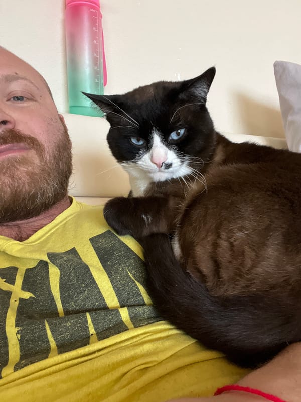 Russian town residents share morning pet selfies simultaneously
