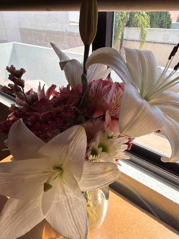 Mixed flower bouquet spotted near window