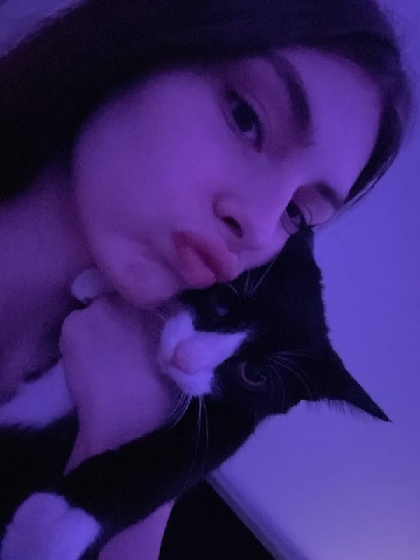 Person photographed cuddling black and white cat in Saint Petersburg