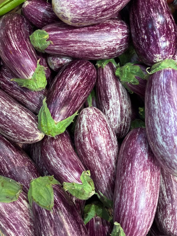 Fresh eggplants and tomatoes spotted at Bat Yam market