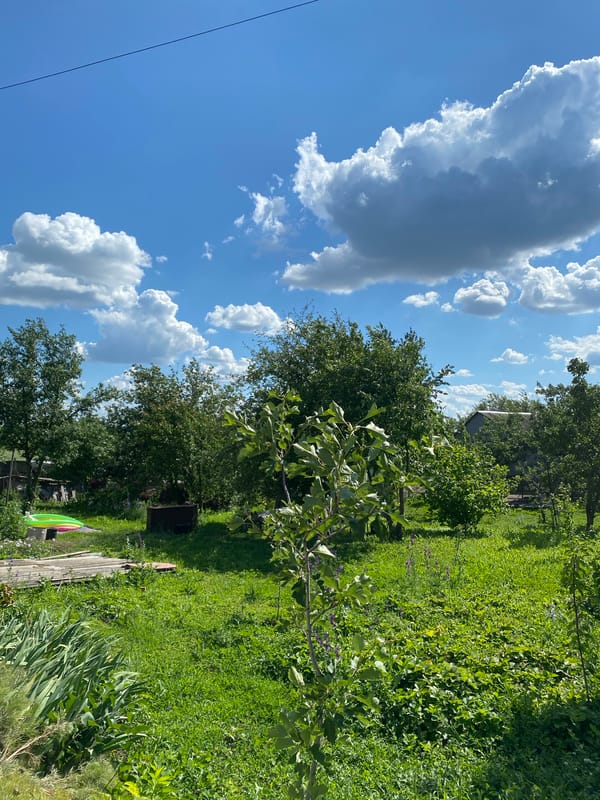 Lazy summer afternoon at a rural Ukrainian homestead