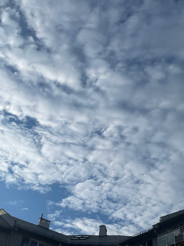 Urban afternoon: snail encounters and sky gazing captured