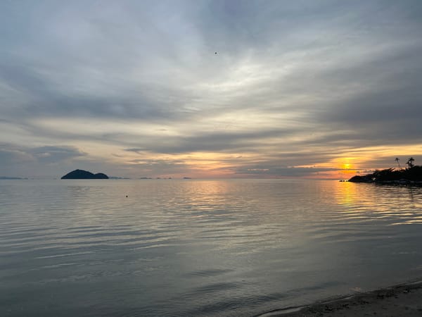 Koh Phangan beach at sunset — boats, islands, and a digging dog