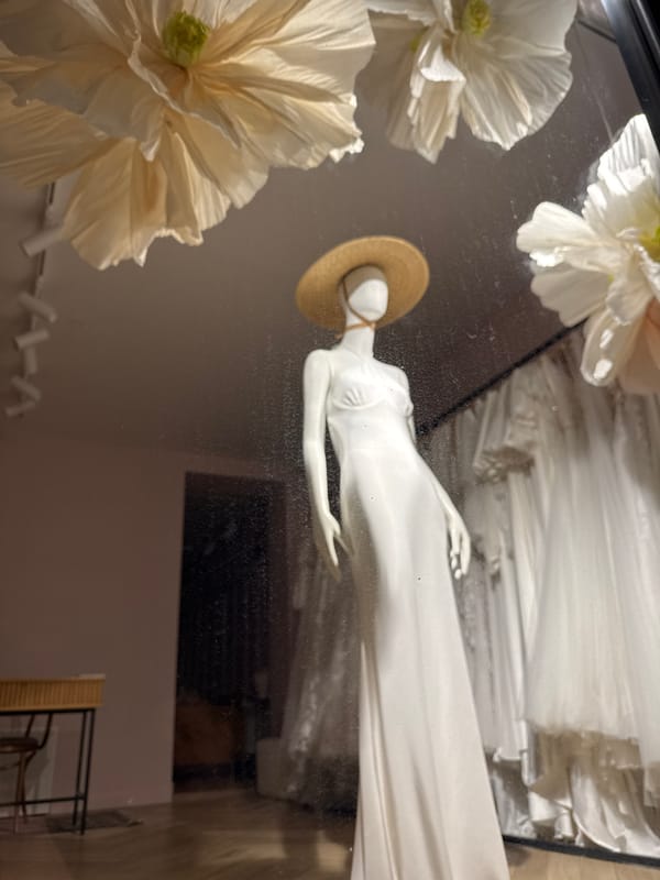 Boutique window displays in Poznan — dresses and terrariums