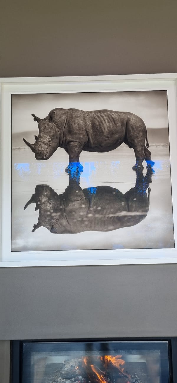 Visitor documents Stellenbosch vineyard tasting room with mountain views