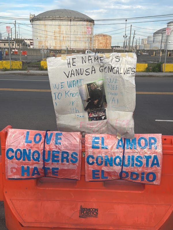 Missing person sign for Vanusa Goncalves spotted in Newark
