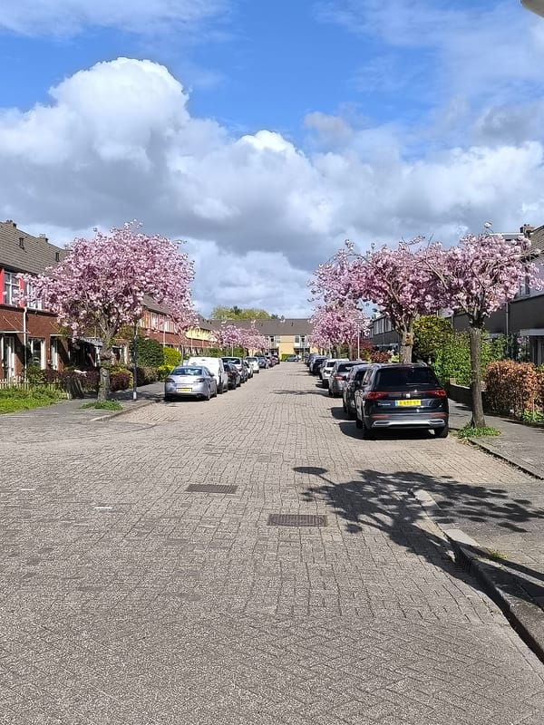 Spring afternoon scenes documented in Alkmaar residential and shopping areas