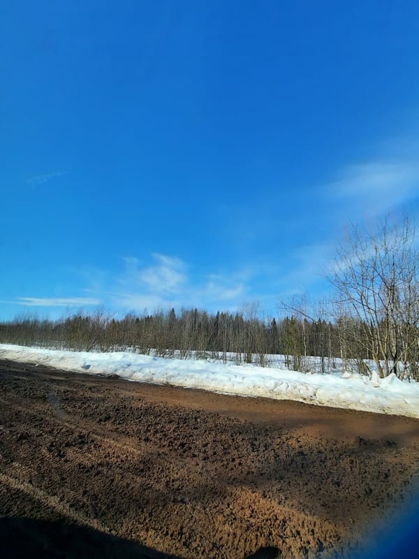 Rural muddy conditions observed near Архангельское, Russia