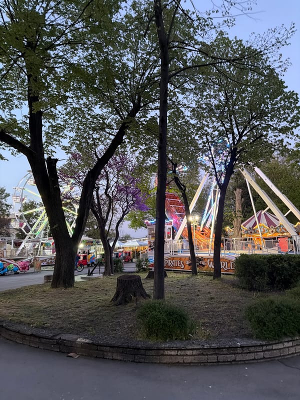 Evening amusement park view captured through trees in Shumen
