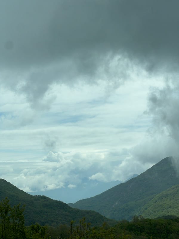 Green hillside documented in Brajici, Montenegro