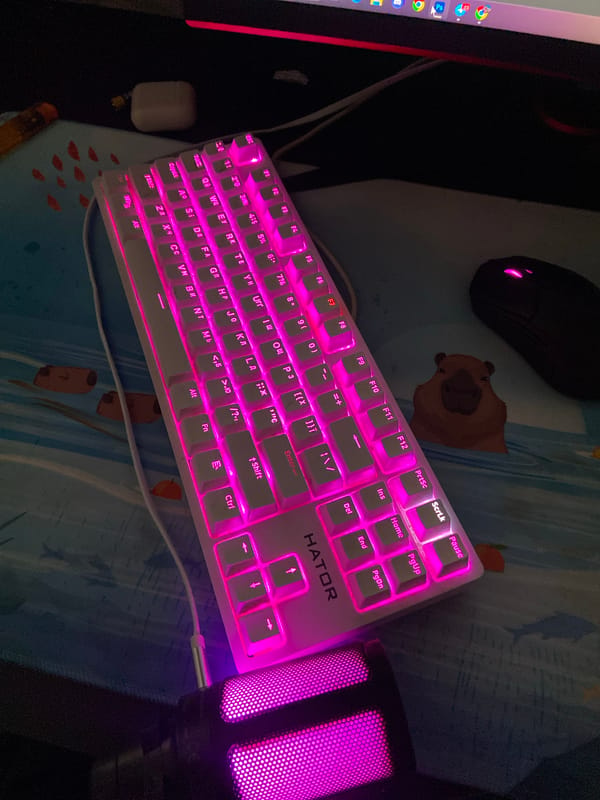 Pink-lit keyboard and a relaxed dog in a Warsaw home