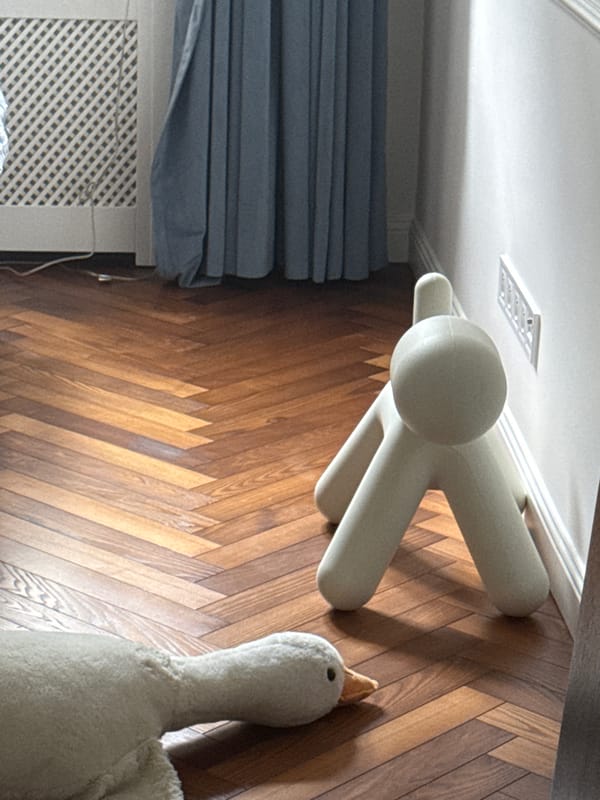 Afternoon at home with a dog, candles, and random finds