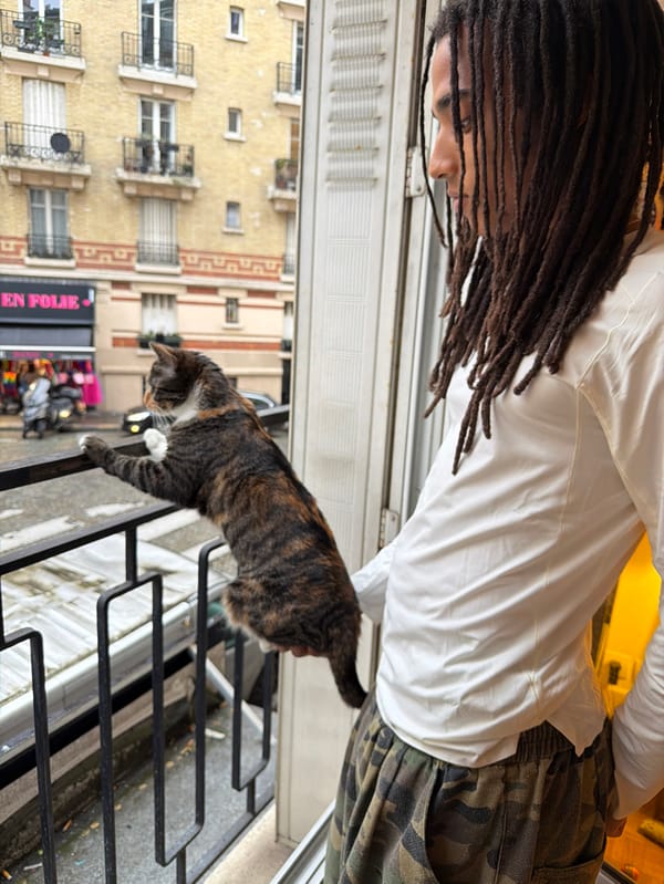 Quiet afternoon moments captured in Paris apartment